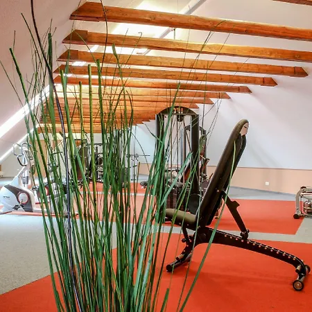 Hotel Bernstein Acamed Nienburg (Saxony-Anhalt)