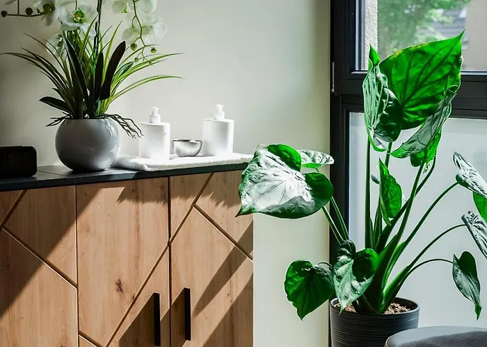 Bernstein Acamed Hotel Nienburg (Saxony-Anhalt)