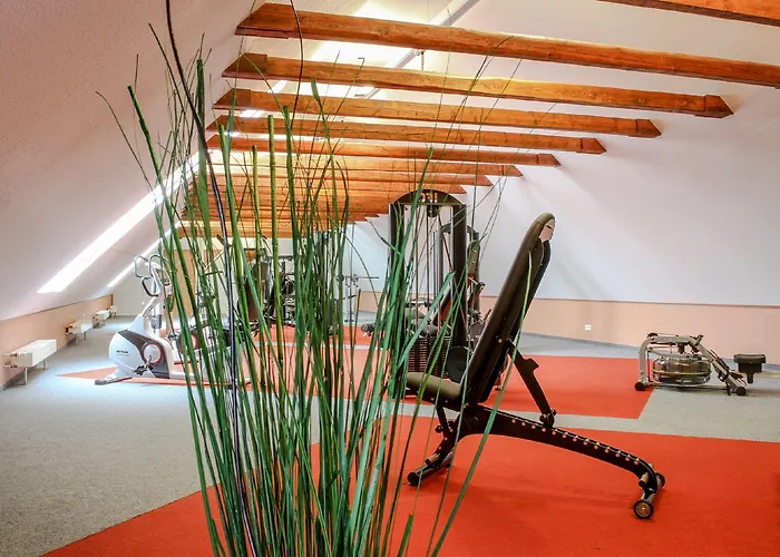 Hotel Bernstein Acamed Nienburg (Saxony-Anhalt)